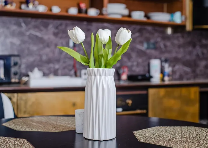 стефани Filibe