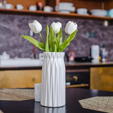 стефани Plovdiv